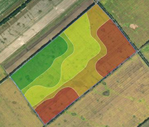 Precision agriculture